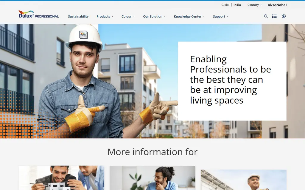 Dulux Professional coatings website